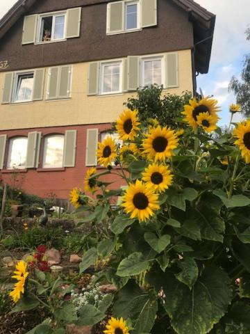 Sonnige Ferienwohnung Schramberg Kültér fotó