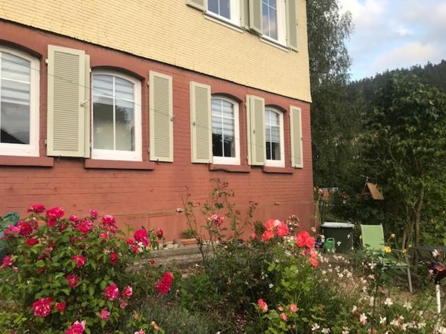 Sonnige Ferienwohnung Schramberg Kültér fotó